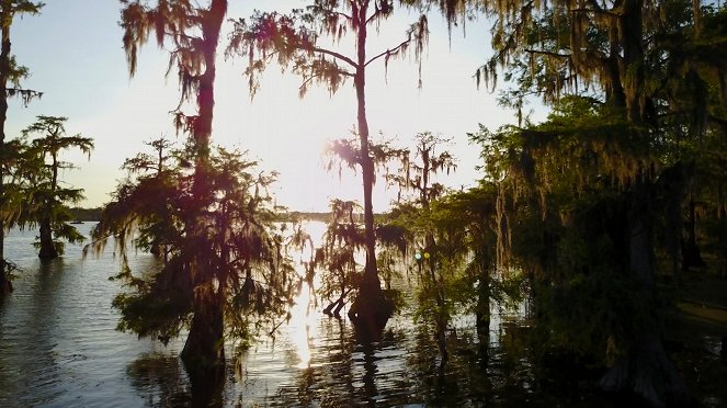 Louisiane, l'Amérique créole - De filmes