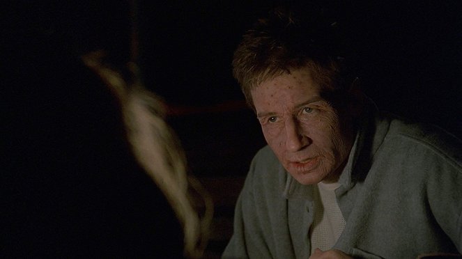 The X-Files - Død Kalm - Van film - David Duchovny