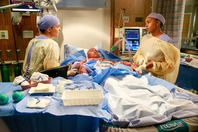 Grey's Anatomy - Die jungen Ärzte - Season 12 - Der große Knall - Filmfotos - Camilla Luddington, Jerrika Hinton