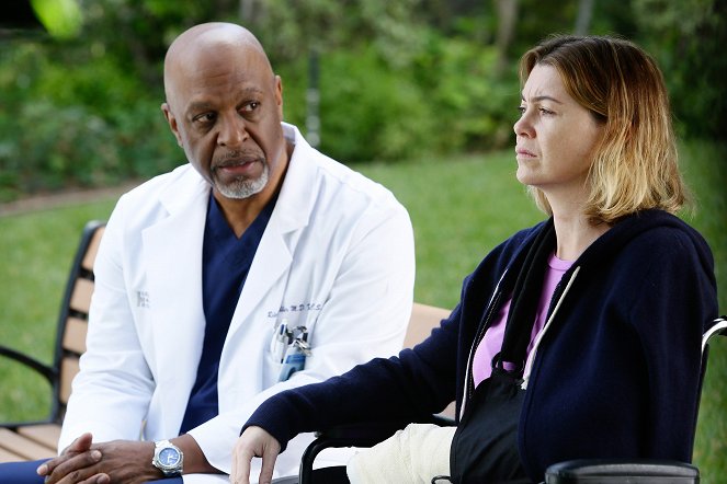 Grey's Anatomy - Die jungen Ärzte - Der Klang der Stille - Filmfotos - James Pickens Jr., Ellen Pompeo