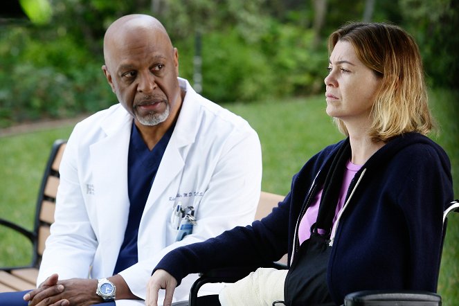 Grey's Anatomy - The Sound of Silence - Photos - James Pickens Jr., Ellen Pompeo