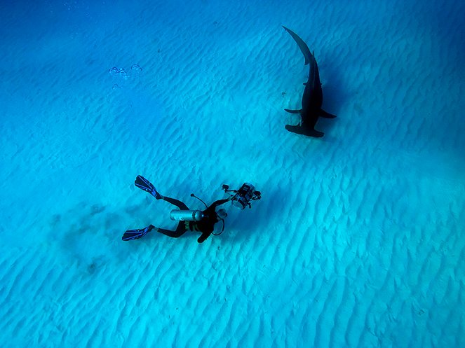 Wonders of the Sea 3D - Filmfotók