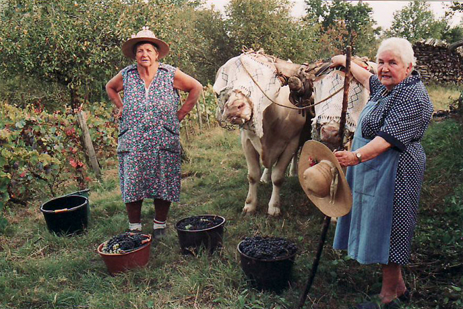 Femme paysanne - Photos