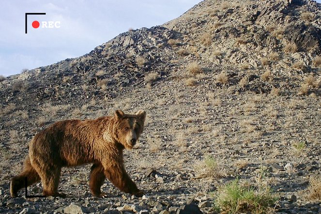 Auf der Spur des Gobibären - Filmfotos
