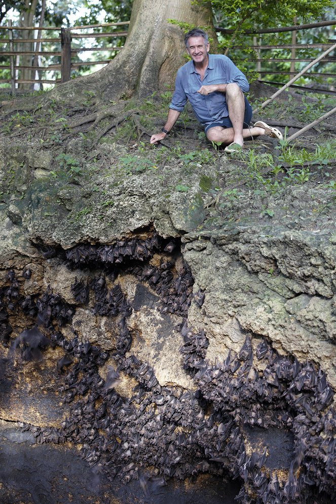 Nigel Marven's Wild Philippines - Photos