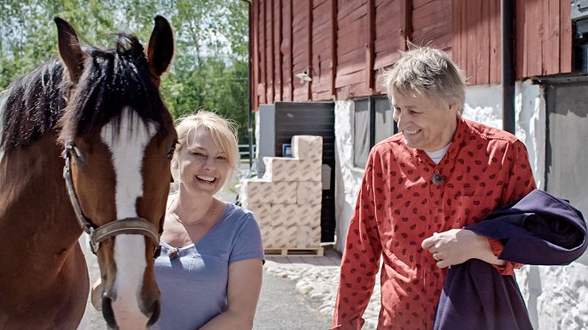 Helena Bergström, Lars Lerin