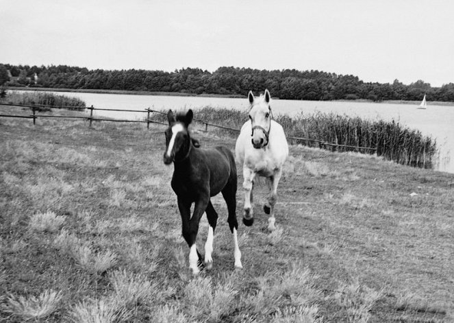 Das Pferdemädchen - Filmfotos
