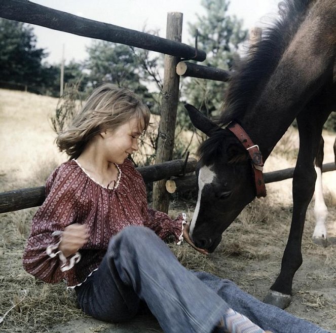 Das Pferdemädchen - Filmfotos - Märtke Wellm