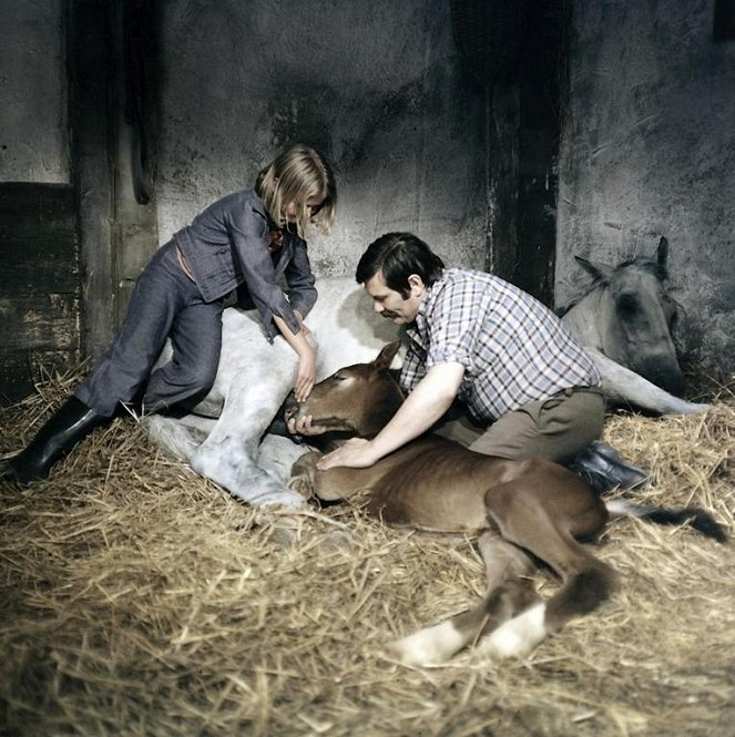 Das Pferdemädchen - Filmfotos - Märtke Wellm, Wolfgang Winkler