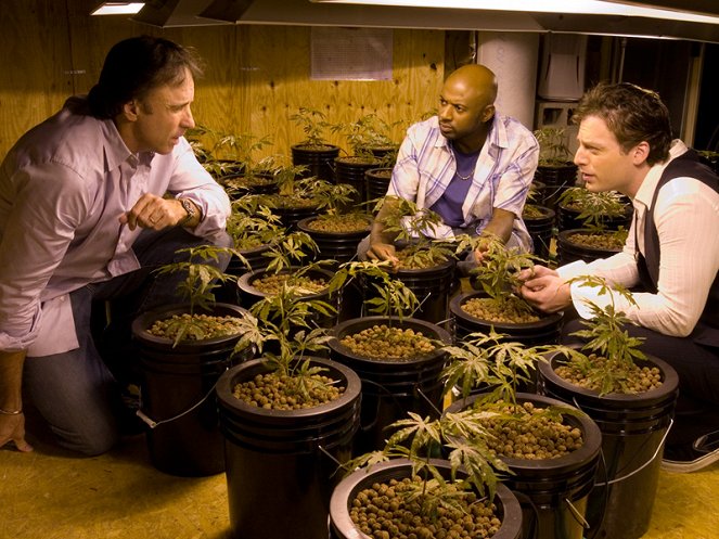 Weeds - Panique à bord - Film - Kevin Nealon, Romany Malco, Justin Kirk