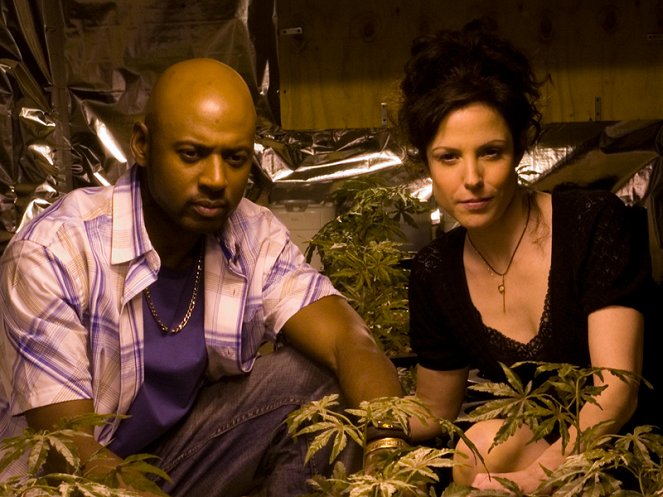 Weeds - Mrs. Botwin's Neighborhood - Photos - Romany Malco, Mary-Louise Parker