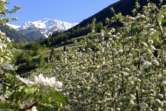 Südtirol - Der Vinschgau - Z filmu