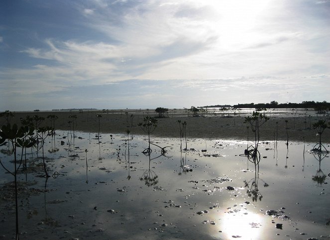 Wildest Islands - Z filmu