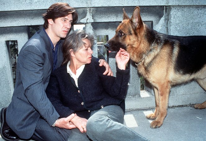 Rex, chien flic - Le Secret d'Anna - Film - Tobias Moretti, Cornelia Froboess, Reginald von Ravenhorst le chien