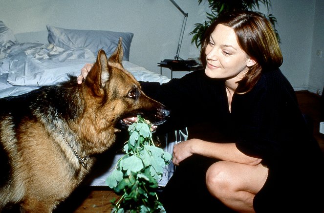 Rex, o cão polícia - Mosers Tod - Do filme - pes Reginald von Ravenhorst, Marion Mitterhammer