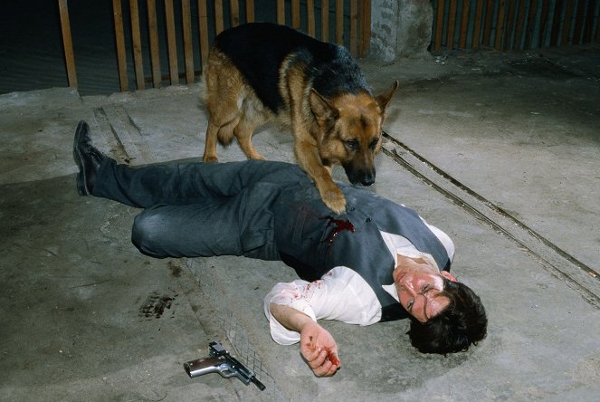 Rex, o cão polícia - Mosers Tod - Do filme - pes Reginald von Ravenhorst, Tobias Moretti