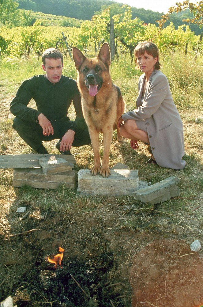 Rex felügyelő - Az új fiú - Filmfotók - Gedeon Burkhard, Reginald von Ravenhorst a kutya, Maddalena Crippa