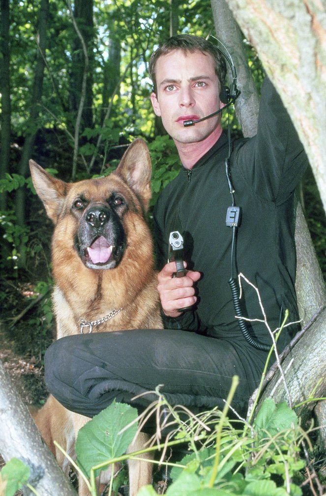 Poliisikoira Rex - Uusi jäsen - Kuvat elokuvasta - Reginald von Ravenhorst-koira, Gedeon Burkhard