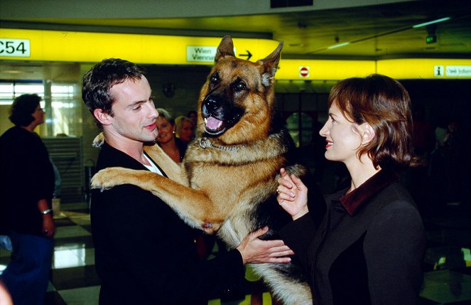 Rex, o cão polícia - Der Neue - Do filme - Gedeon Burkhard, pes Reginald von Ravenhorst, Maddalena Crippa