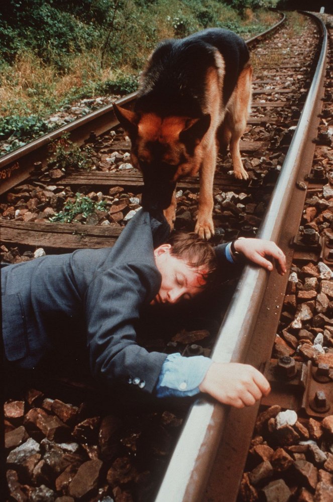 Rex felügyelő - Az összeesküvés - Filmfotók - Heinz Weixelbraun, Reginald von Ravenhorst a kutya