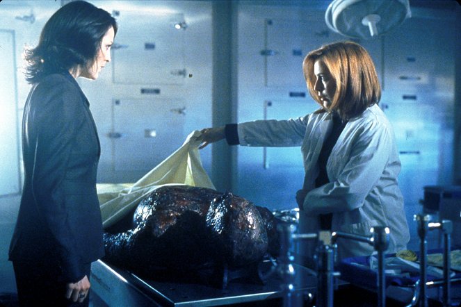The X-Files - The Truth - Van film - Annabeth Gish, Gillian Anderson