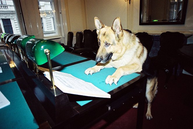 Rex, o cão polícia - Die Taten der Toten - Do filme - pes Rhett Butler