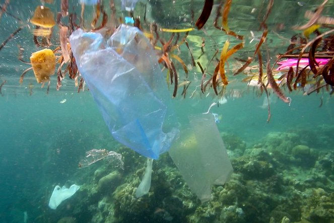 Plastik überall - Geschichten vom Müll - De la película