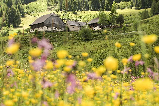 Naturpark Steiermark - Vom Schützen durch Nützen - Filmfotos
