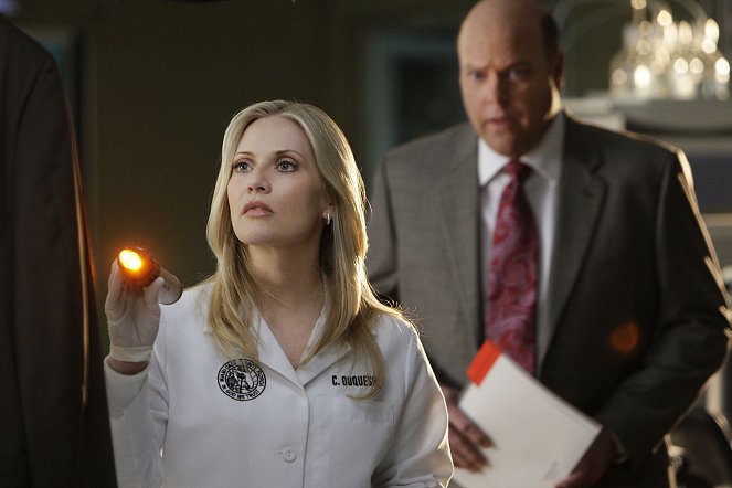 Les Experts : Miami - You May Now Kill the Bride - Film - Emily Procter