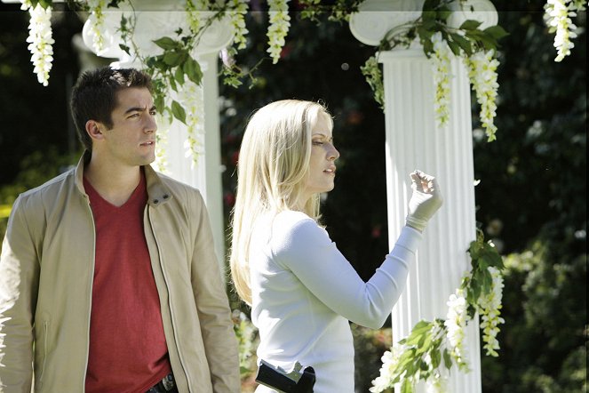 Les Experts : Miami - You May Now Kill the Bride - Film - Jonathan Togo, Emily Procter