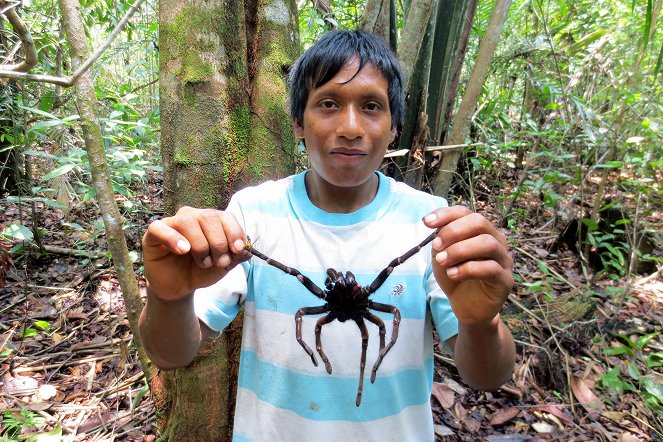 Die Spinnenjäger von Venezuela - Film