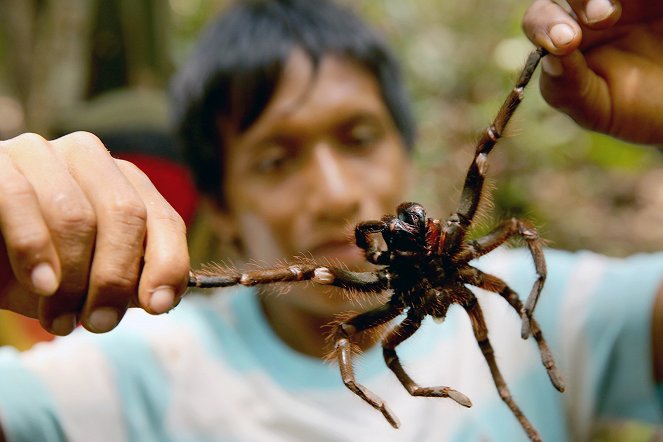 Die Spinnenjäger von Venezuela - Filmfotos