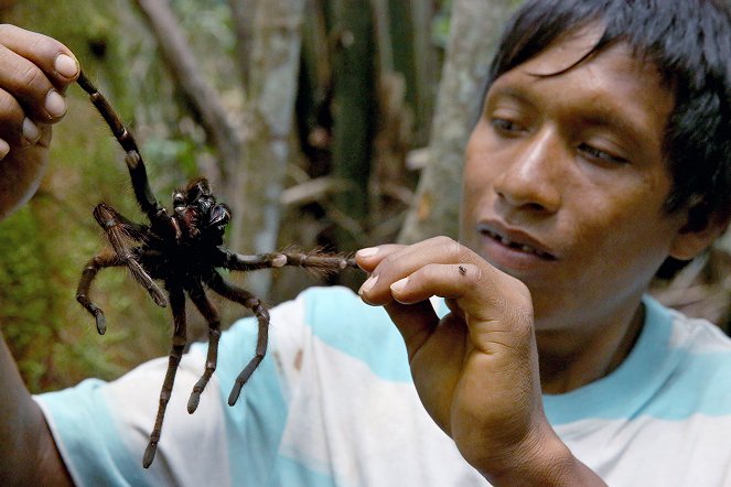 Die Spinnenjäger von Venezuela - Film