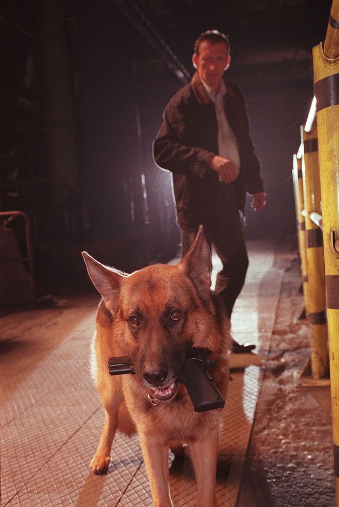Rex felügyelő - A bosszú - Filmfotók - Reginald von Ravenhorst a kutya