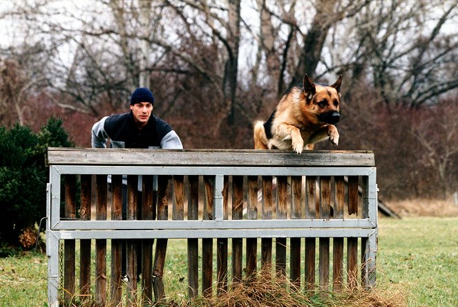 Inspector Rex - Das letzte Match - Photos - Gedeon Burkhard, pes Reginald von Ravenhorst