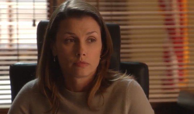 Blue Bloods - Flags of Our Fathers - Van film - Bridget Moynahan