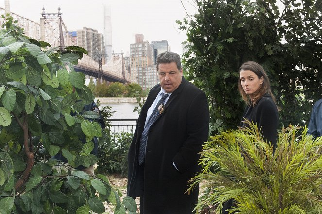 Blue Bloods - Crime Scene New York - Hold Outs - Photos - Bridget Moynahan