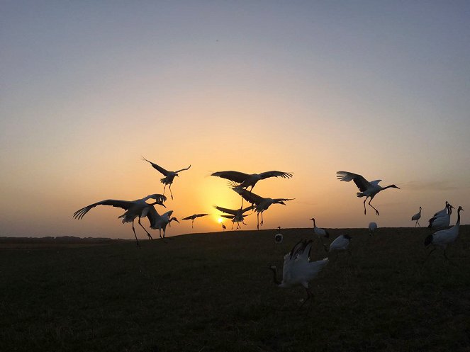 Un día maravilloso en la Tierra - De la película