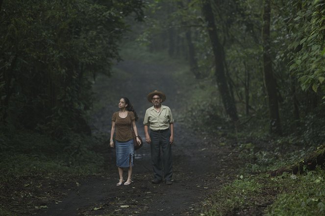 Sueño en otro idioma - De la película