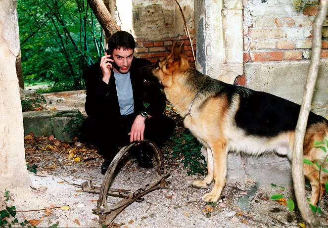 Rex, chien flic - Le Loup - Film - Gedeon Burkhard, Reginald von Ravenhorst le chien
