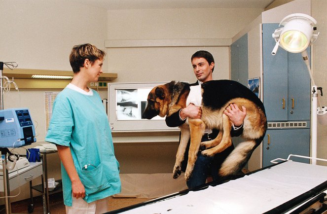 Rex felügyelő - Mérgesgáz - Filmfotók - Rhett Butler a kutya, Gedeon Burkhard