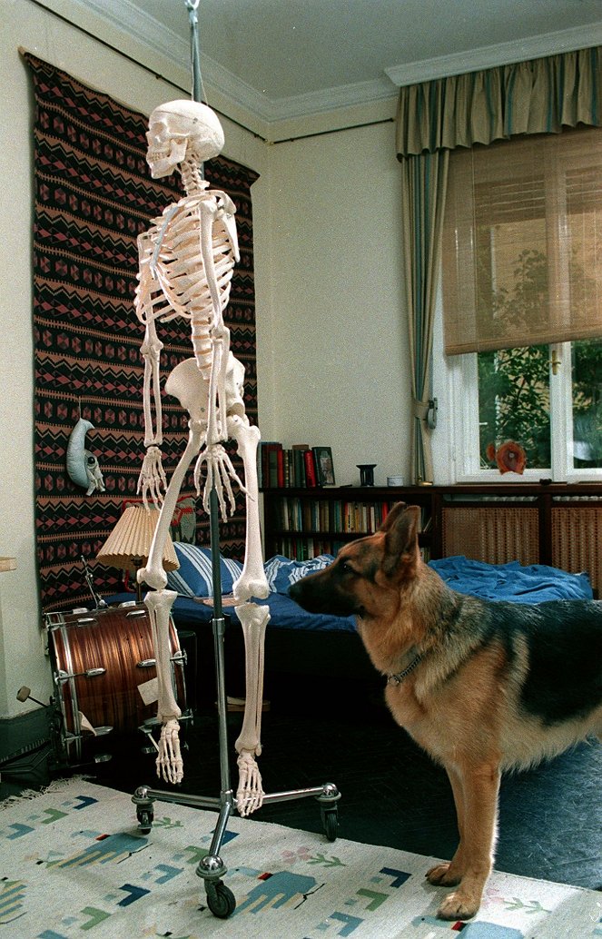 Rex felügyelő - Halálos titkok - Filmfotók - Rhett Butler a kutya