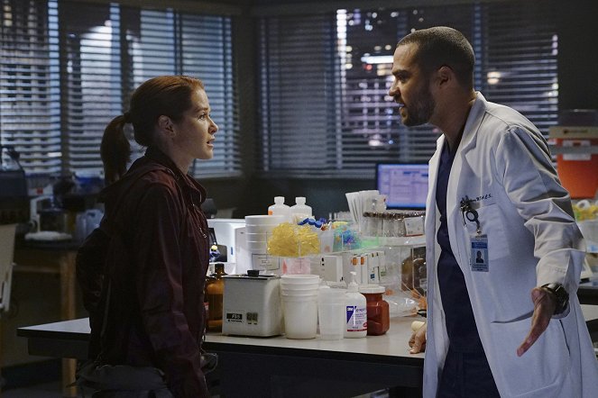 Grey's Anatomy - Die jungen Ärzte - Season 12 - Entscheidungshilfe - Filmfotos - Sarah Drew, Jesse Williams