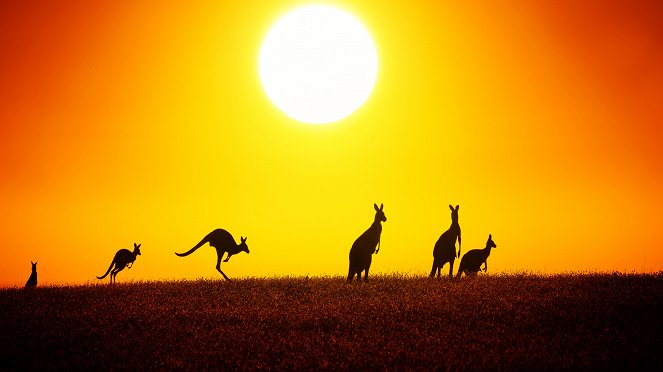 Naturwunder Australien - Filmfotos
