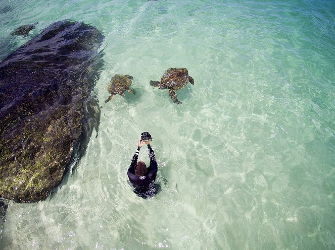 Shorebreak: The Clark Little Story - Z filmu