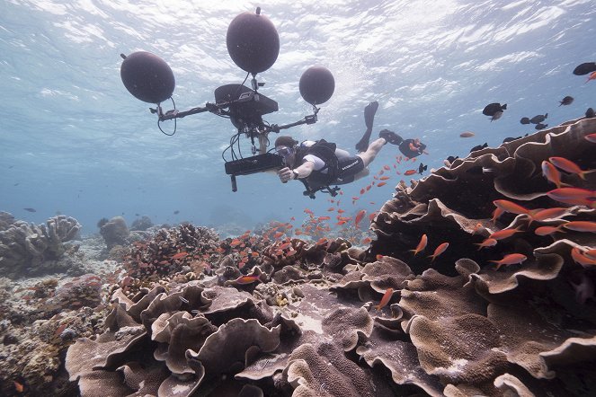 David Attenborough: A kék bolygó - Az óceán világa, Speciális kiadás - Season 2 - A mi kék bolygónk - Forgatási fotók