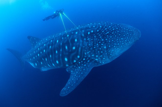 Planeta Azul - Our Blue Planet - De la película