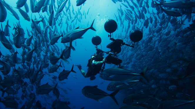 David Attenborough: A kék bolygó - Az óceán világa, Speciális kiadás - A mi kék bolygónk - Forgatási fotók