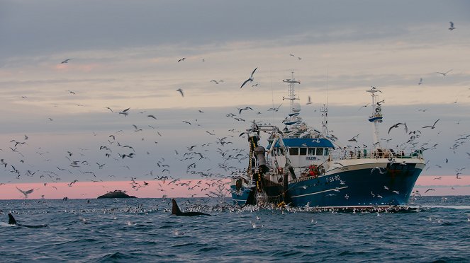 The Blue Planet - Our Blue Planet - Van film