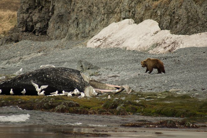 Alaskas tödlichste Jäger - Filmfotos